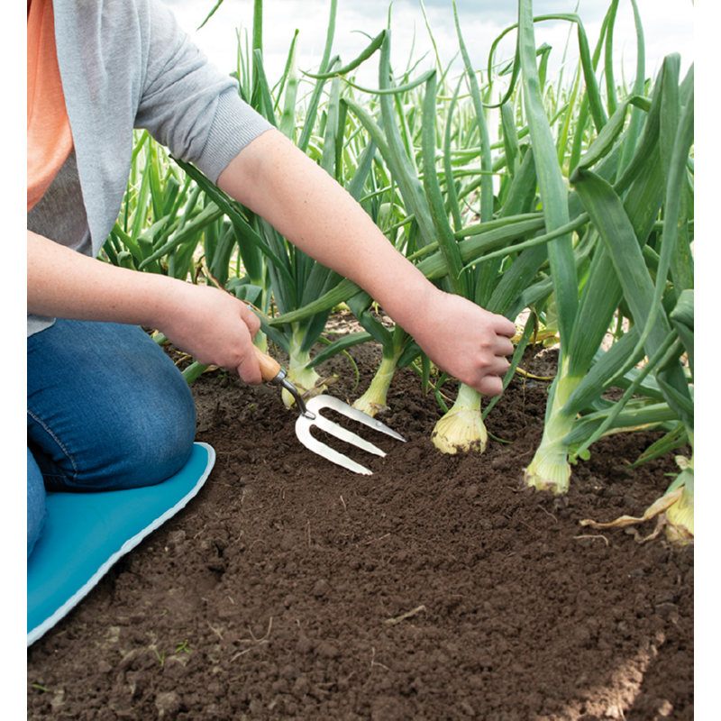 SOGO Handvork roestvrijstaal (5)