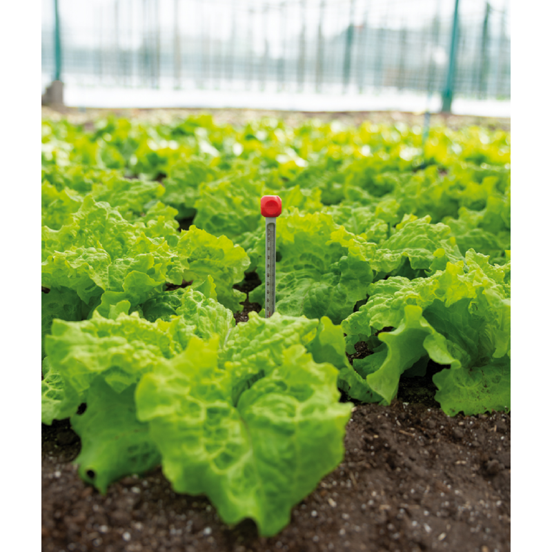 SOGO Grond Thermometer (6)