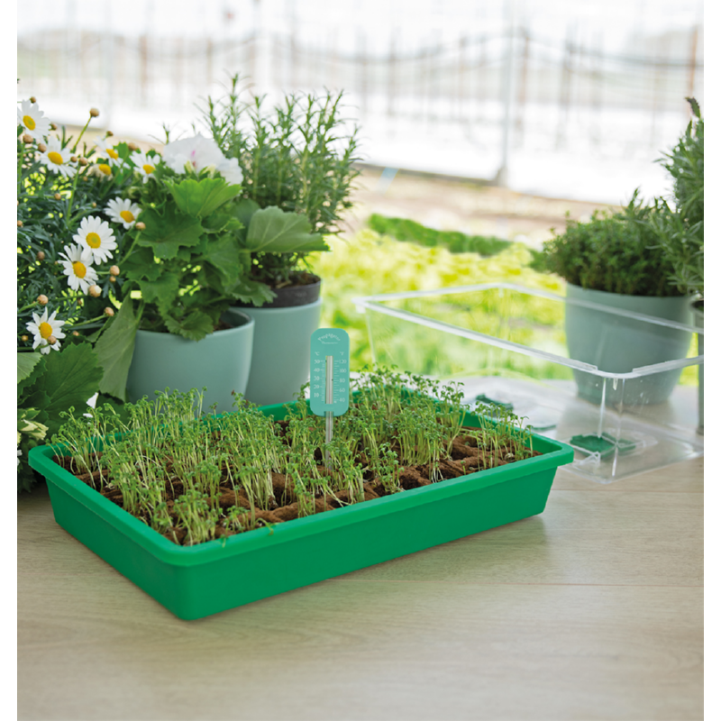 SOGO Kweekkas Thermometer (6)