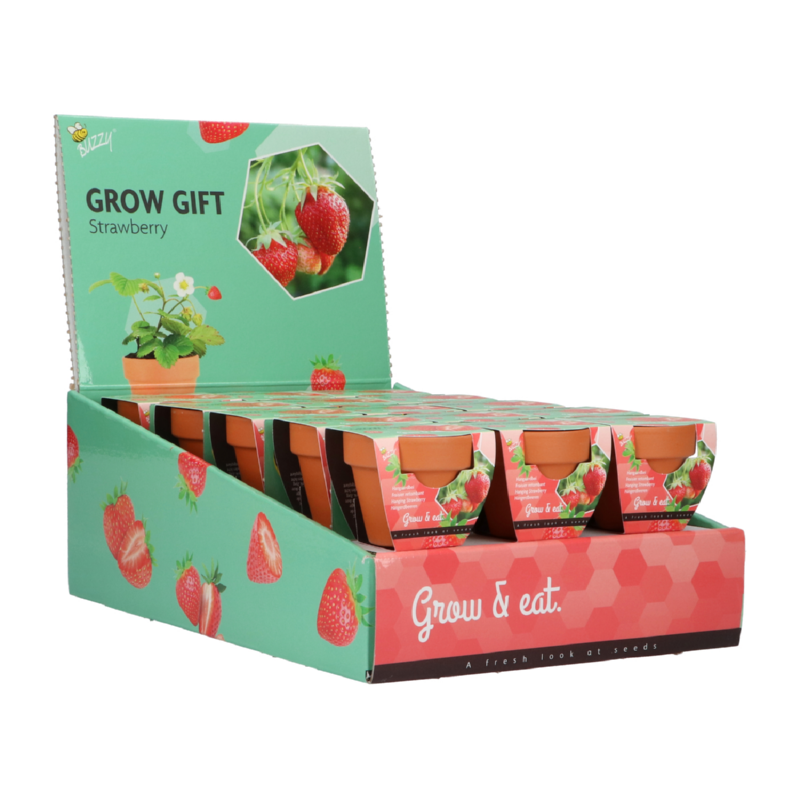 Buzzy® Grow Gifts Aardbei 30st. in display (30)