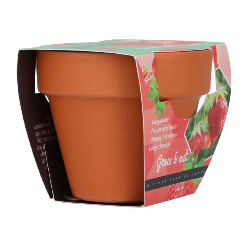 Buzzy® Grow Gifts Aardbei 30st. in display (30)