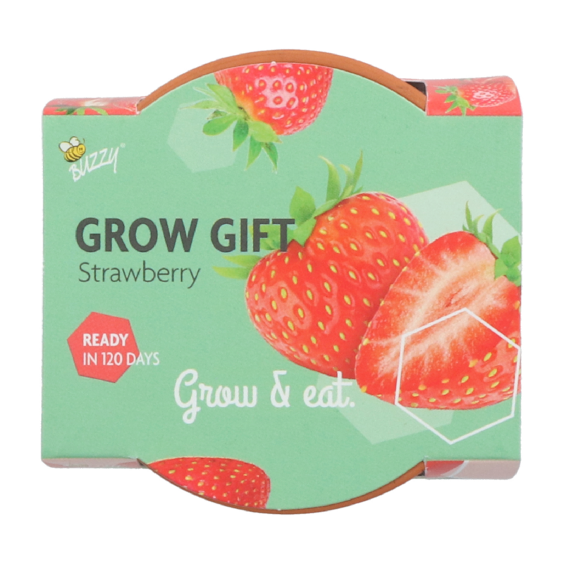 Buzzy® Grow Gifts Aardbei 30st. in display (30)