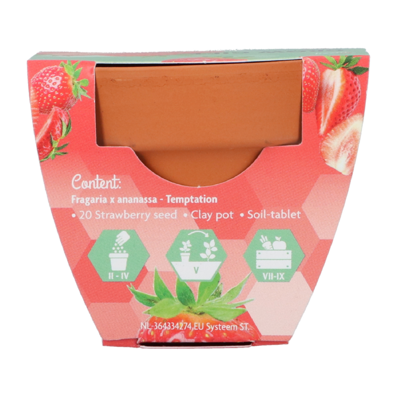 Buzzy® Grow Gifts Aardbei 30st. in display (30)