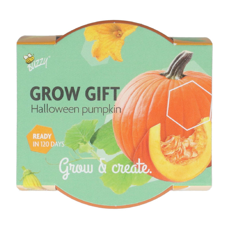 Buzzy® Grow Gifts Pompoen 30st. in display (30)