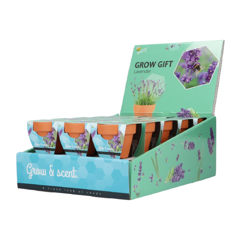 Buzzy® Grow Gifts Lavendel 30st. in display (30)