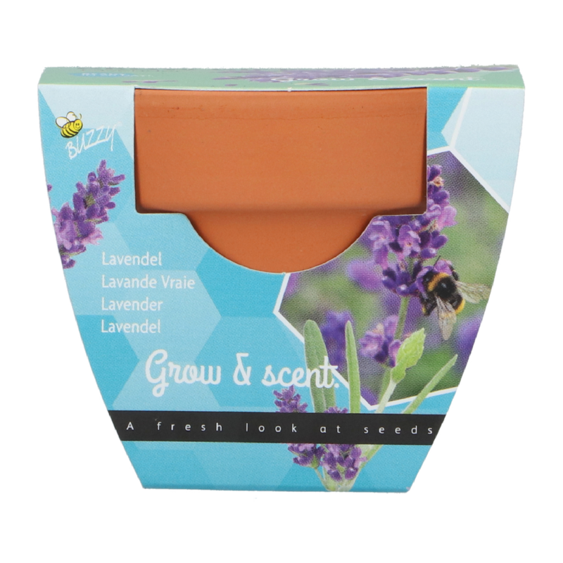 Buzzy® Grow Gifts Lavendel 30st. in display (30)