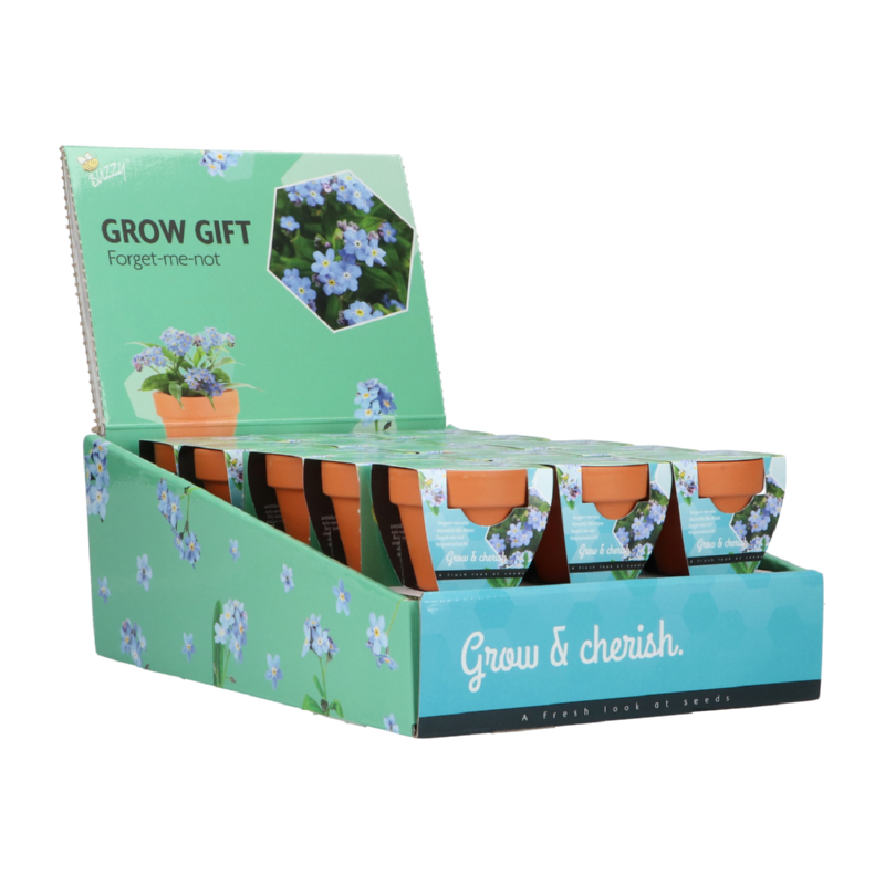 Buzzy® Grow Gifts Vergeet-me-niet 30st. in display (30)