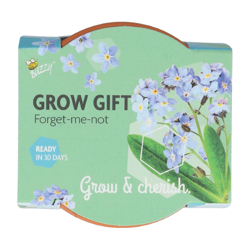 Buzzy® Grow Gifts Vergeet-me-niet 30st. in display (30)
