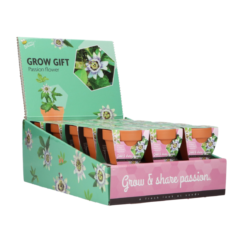 Buzzy® Grow Gifts Passiflora 30st. in display (30)
