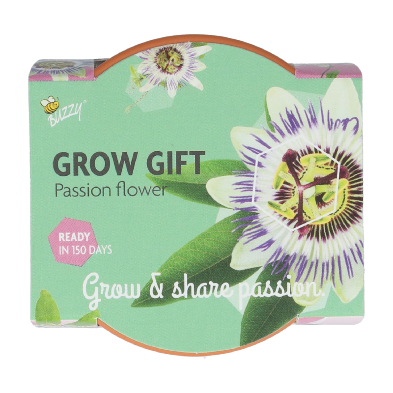 Buzzy® Grow Gifts Passiflora 30st. in display (30)