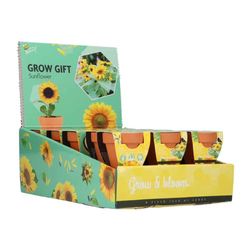 Buzzy® Grow Gifts Zonnebloem 30st. in display (30)