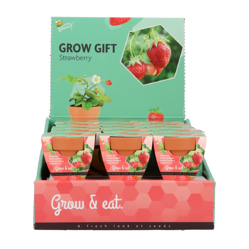 Buzzy® Grow Gifts Aardbei 30st. in display (30)