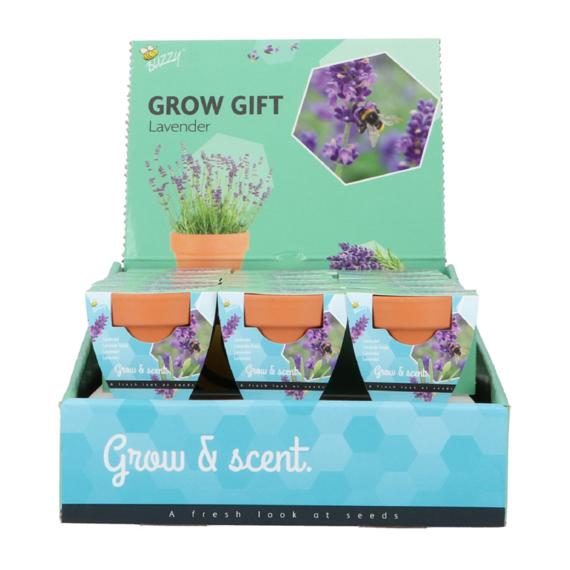 Buzzy® Grow Gifts Lavendel 30st. in display (30)