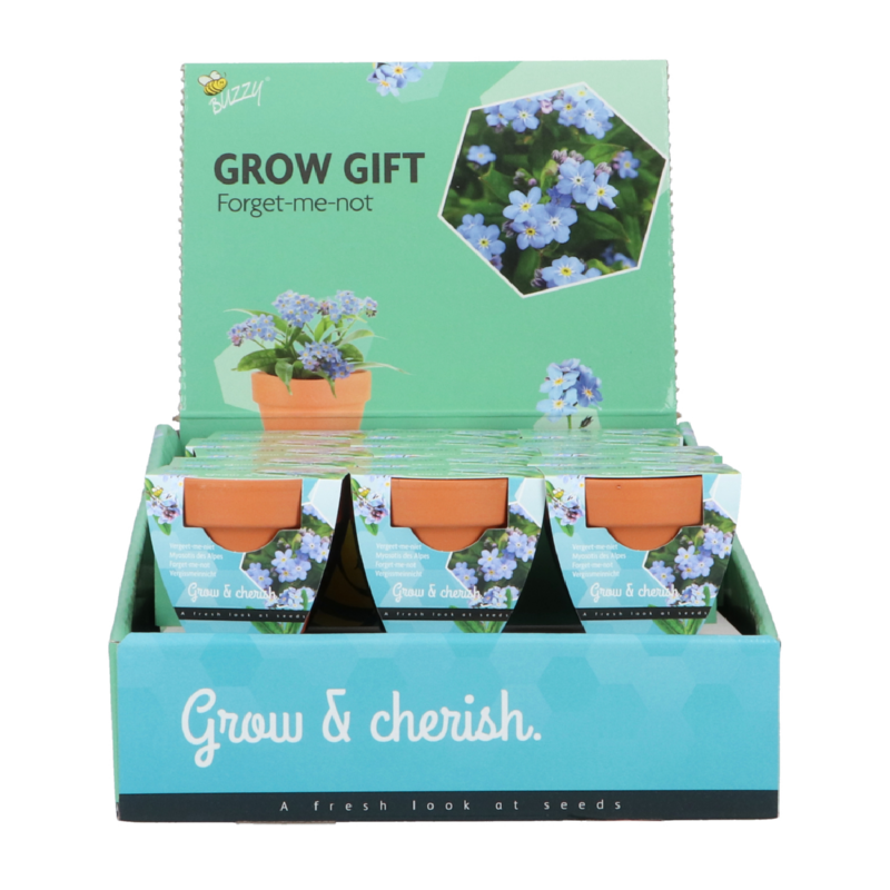Buzzy® Grow Gifts Vergeet-me-niet 30st. in display (30)