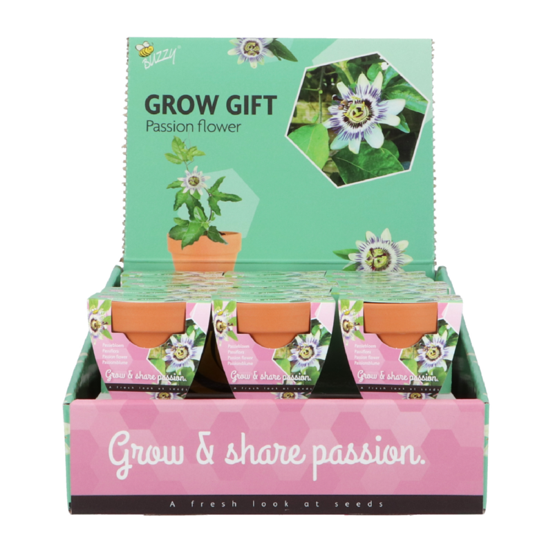 Buzzy® Grow Gifts Passiflora 30st. in display (30)