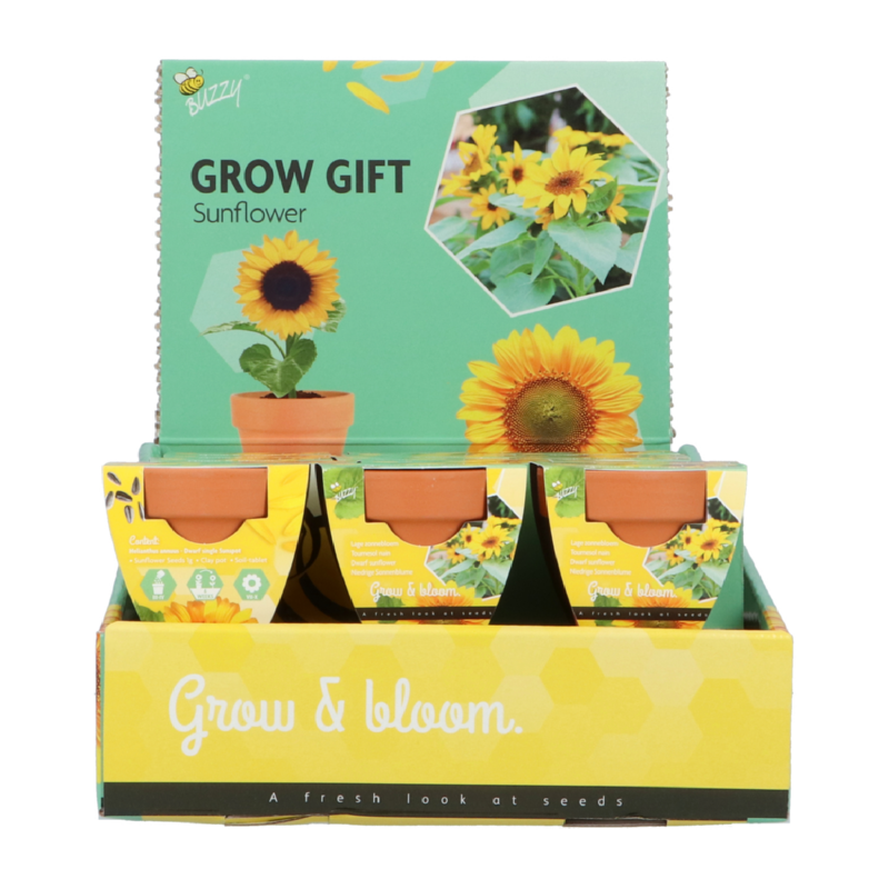 Buzzy® Grow Gifts Zonnebloem 30st. in display (30)