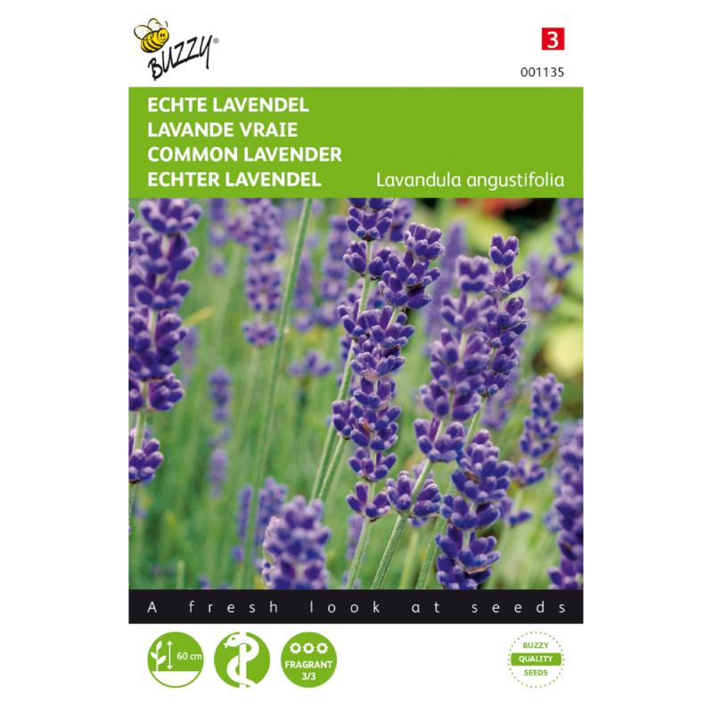 Buzzy® Echte Lavendel