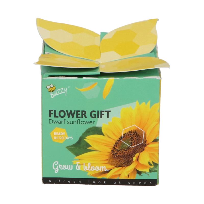 Buzzy® Display Flower Gift Zonnebloem (48)