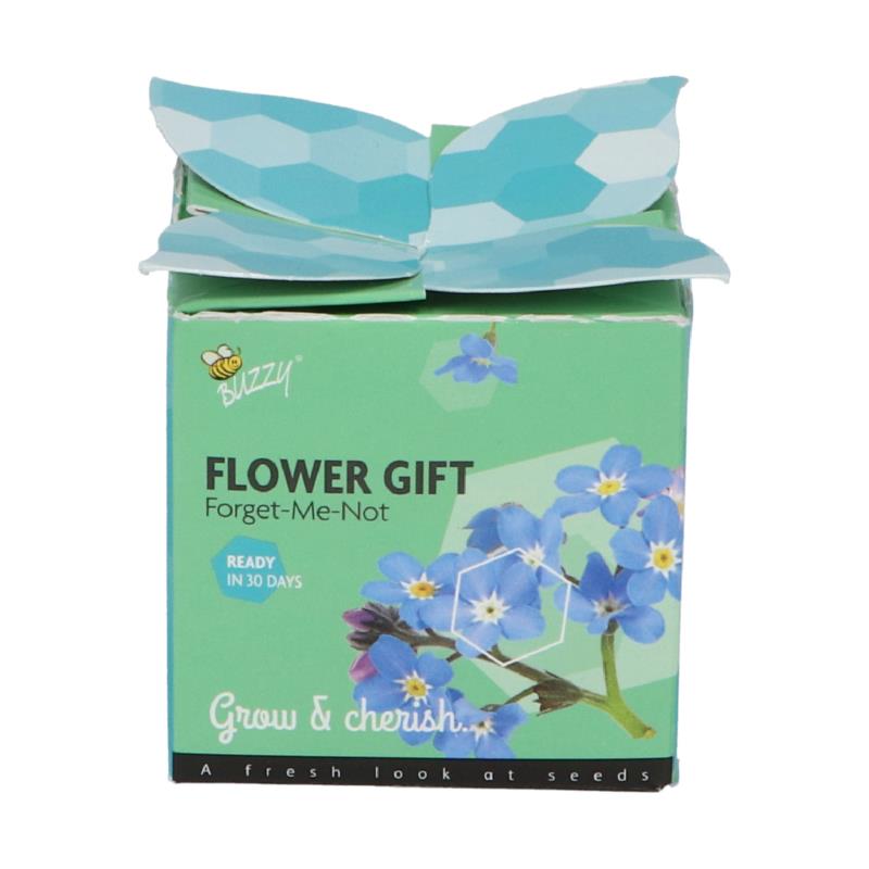 Buzzy® Display Flower Gift Vergeet-me-niet (48)