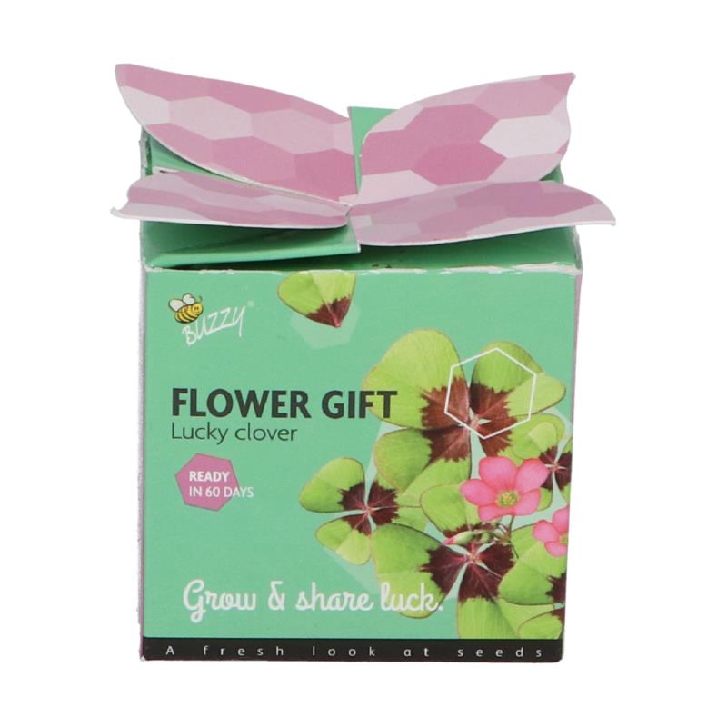 Buzzy® Display Flower Gift Klavertje 4 (48)