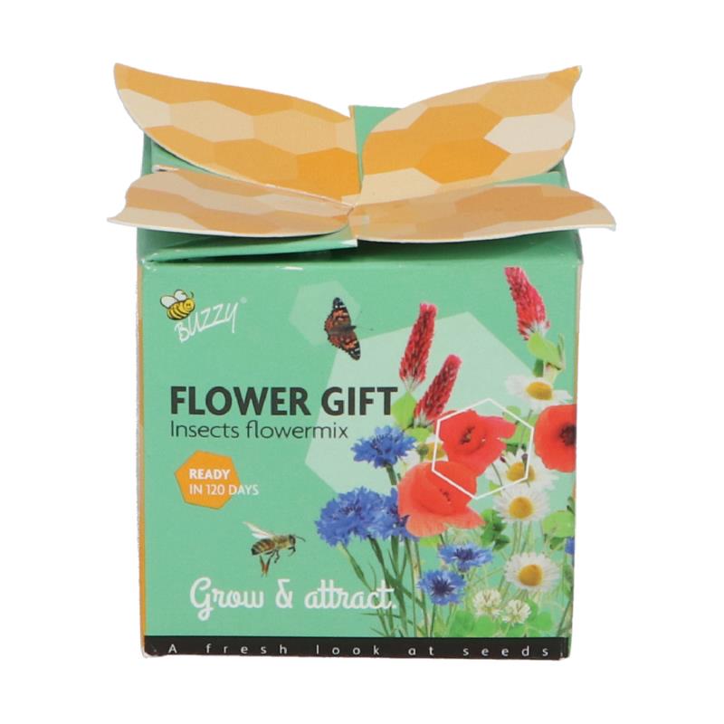 Buzzy® Display Flower Gift Insect Flower mix (48)