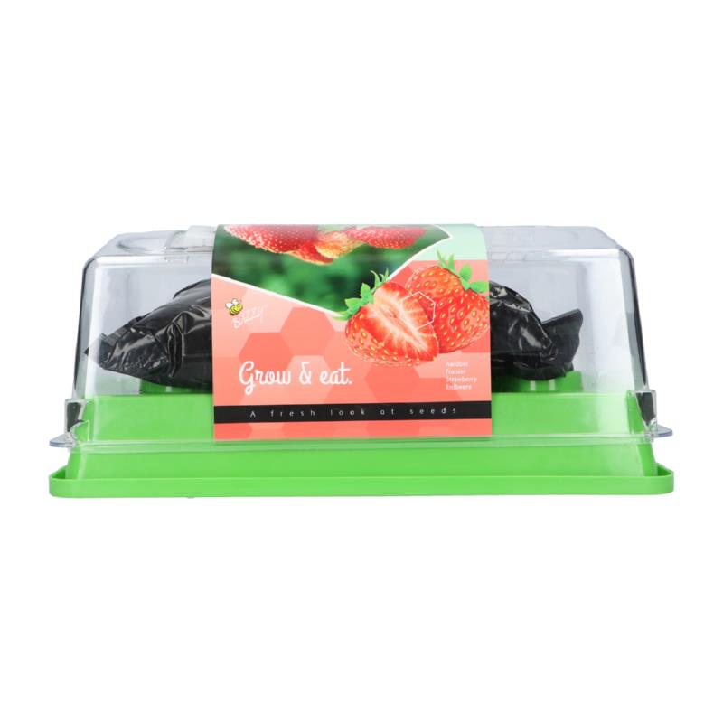 Buzzy® Greenhouse Homegrown Aardbei (6)