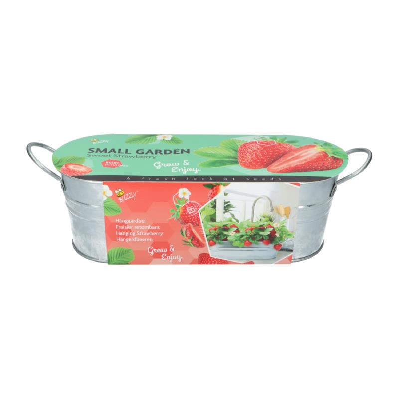 Buzzy® Small Garden Sweet Strawberry