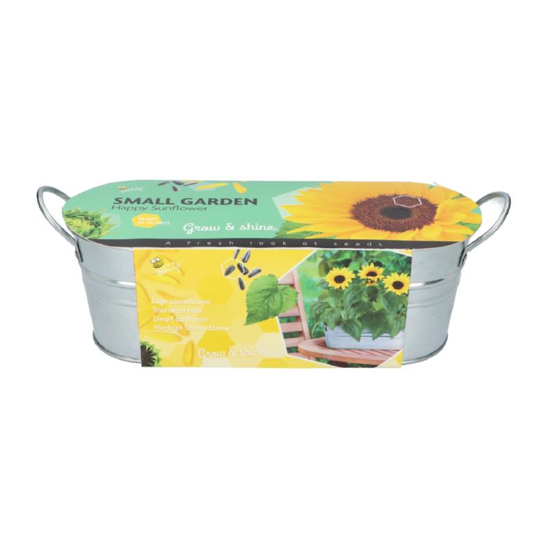 Buzzy® Small Garden Happy Sunflower (6)
