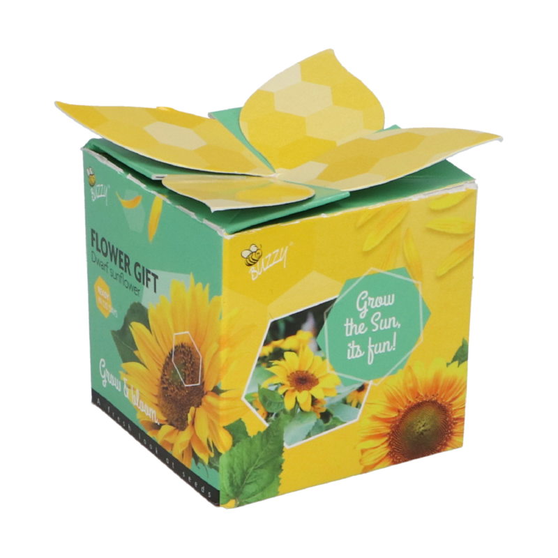 Buzzy® Display Flower Gift Zonnebloem (48)