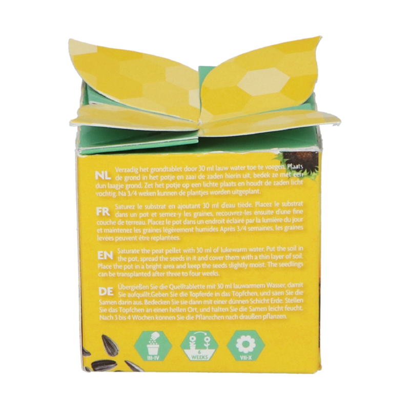 Buzzy® Display Flower Gift Zonnebloem (48)