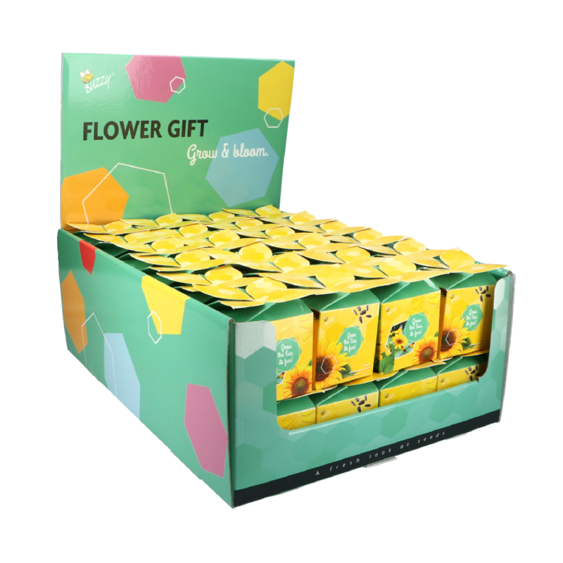 Buzzy® Display Flower Gift Zonnebloem (48)