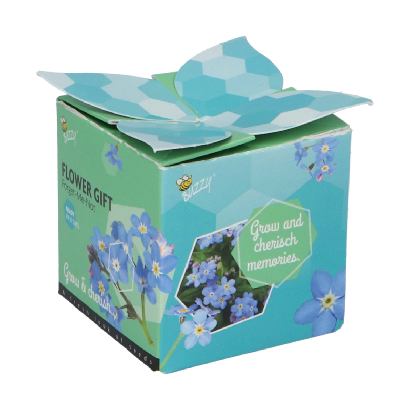 Buzzy® Display Flower Gift Vergeet-me-niet (48)