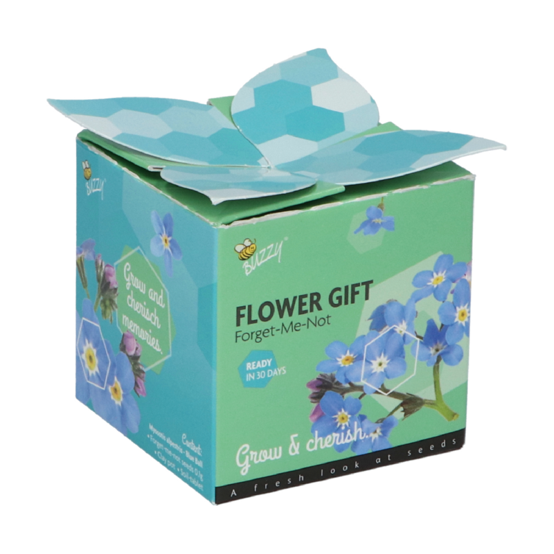 Buzzy® Display Flower Gift Vergeet-me-niet (48)