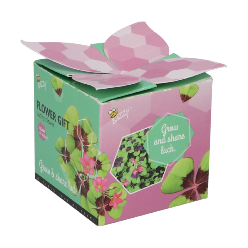 Buzzy® Display Flower Gift Klavertje 4 (48)