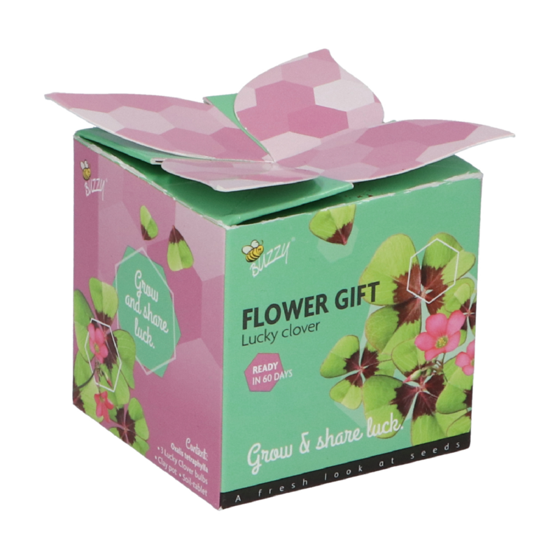 Buzzy® Display Flower Gift Klavertje 4 (48)