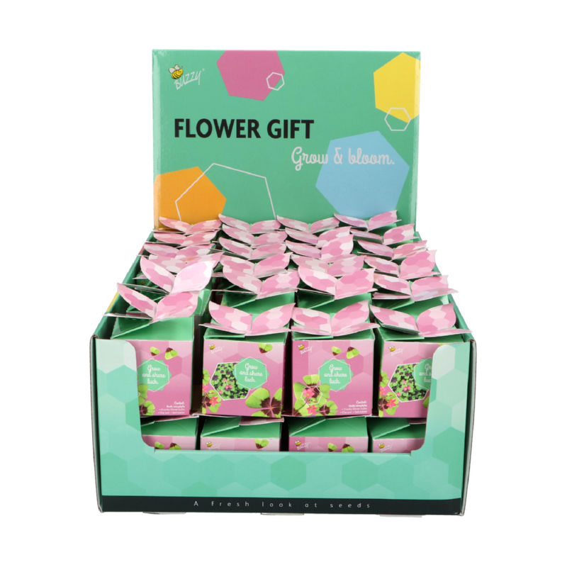 Buzzy® Display Flower Gift Klavertje 4 (48)