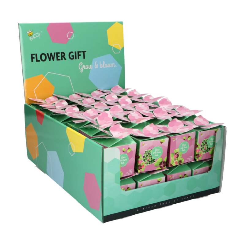 Buzzy® Display Flower Gift Klavertje 4 (48)