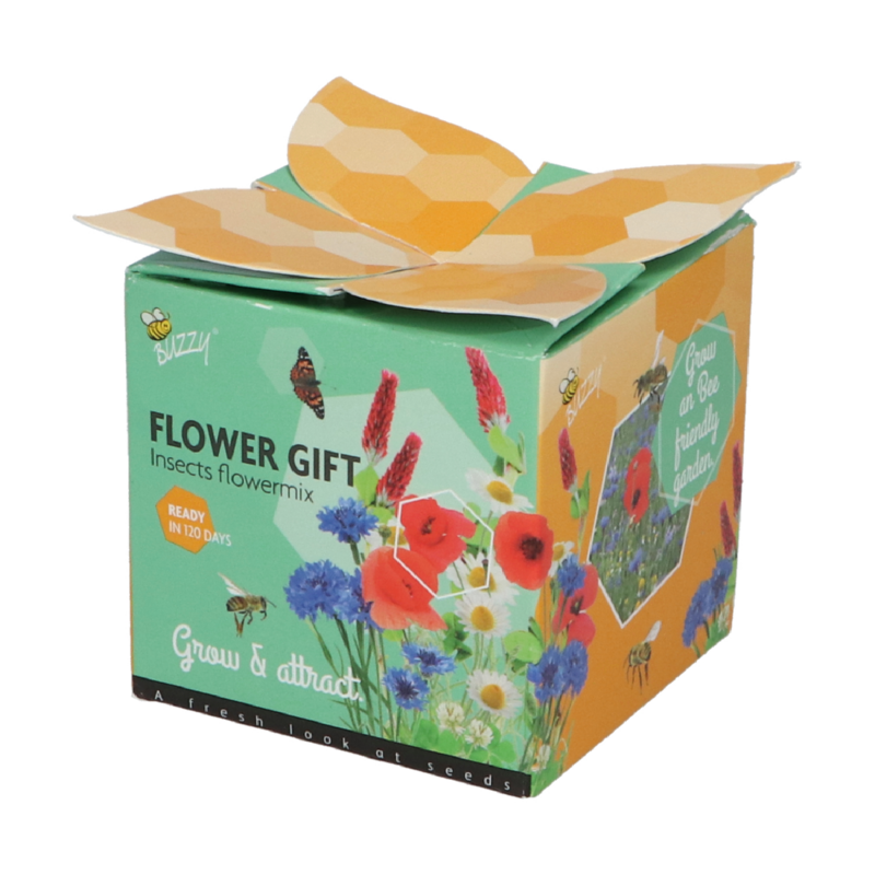 Buzzy® Display Flower Gift Insect Flower mix (48)