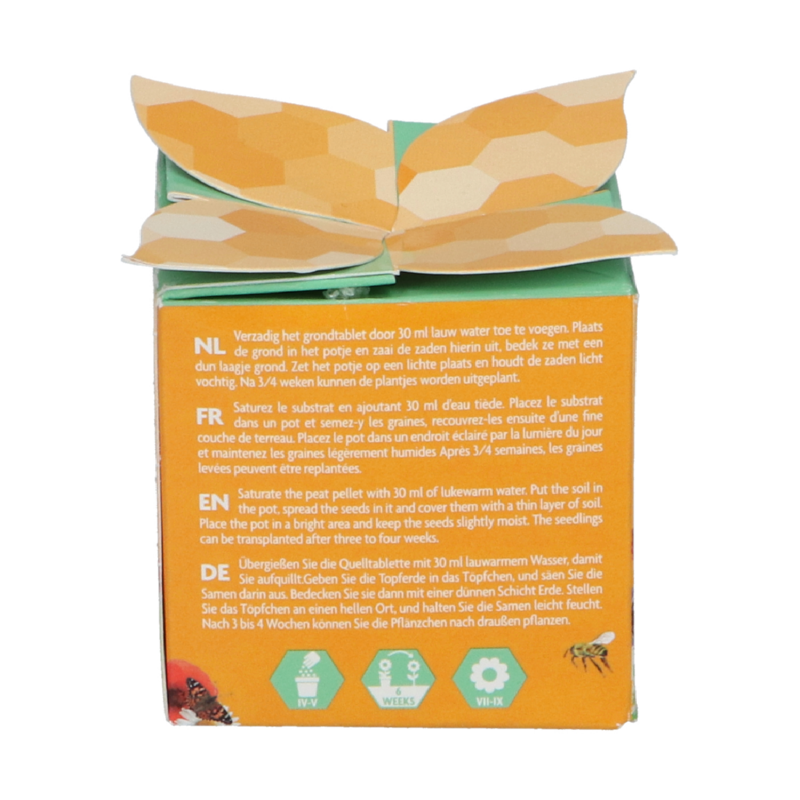 Buzzy® Display Flower Gift Insect Flower mix (48)