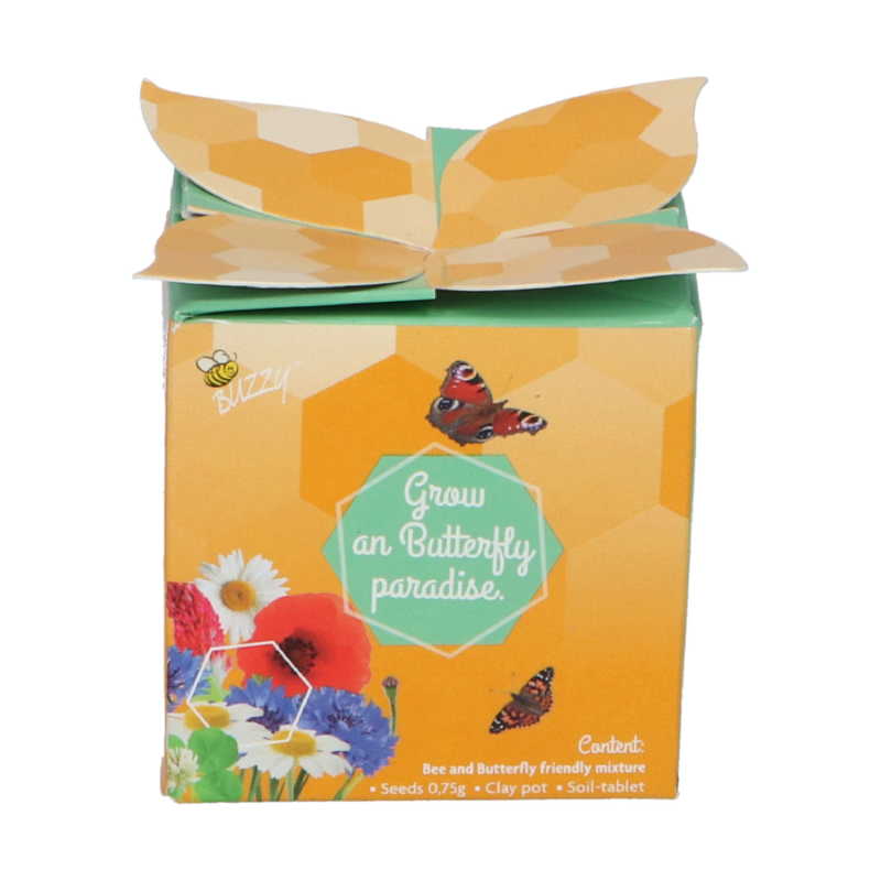 Buzzy® Display Flower Gift Insect Flower mix (48)