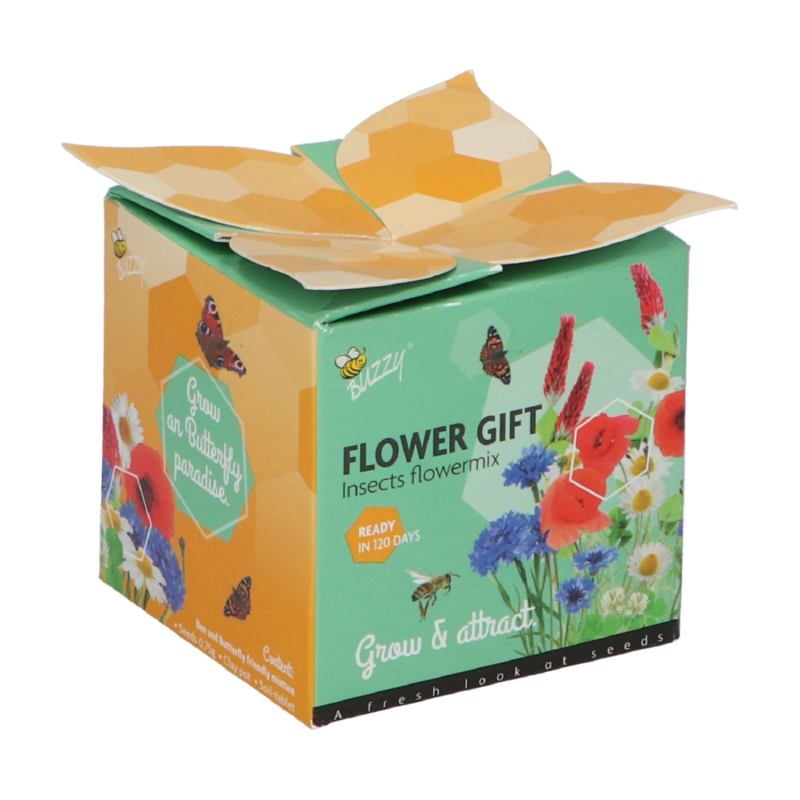 Buzzy® Display Flower Gift Insect Flower mix (48)