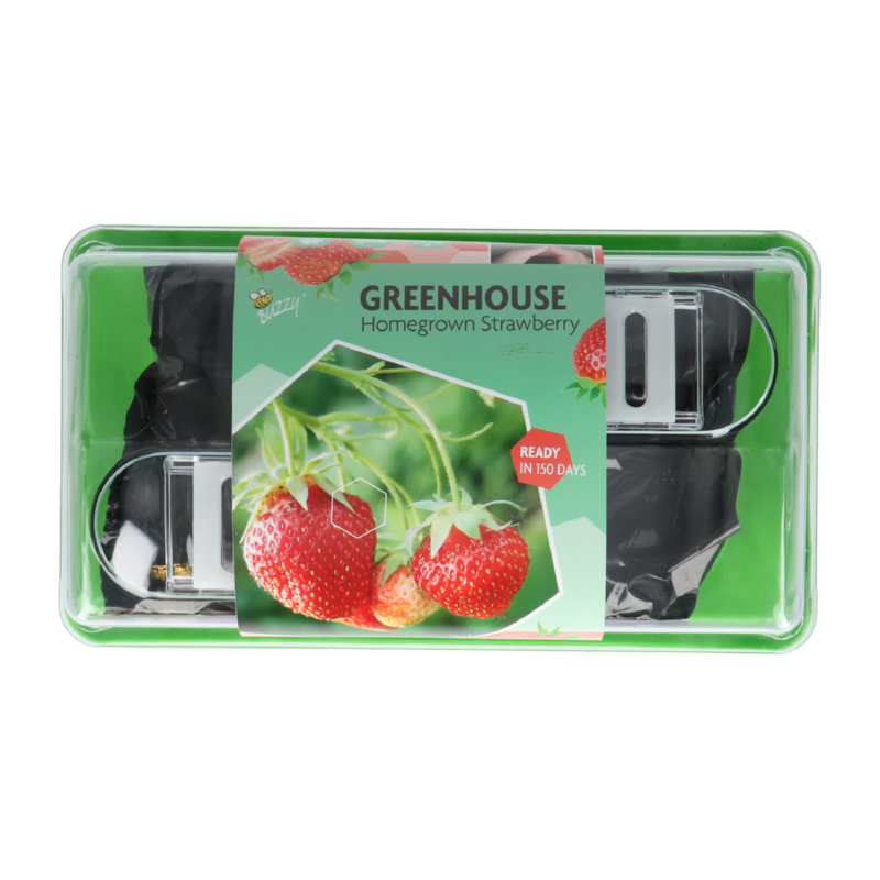 Buzzy® Greenhouse Homegrown Aardbei (6)