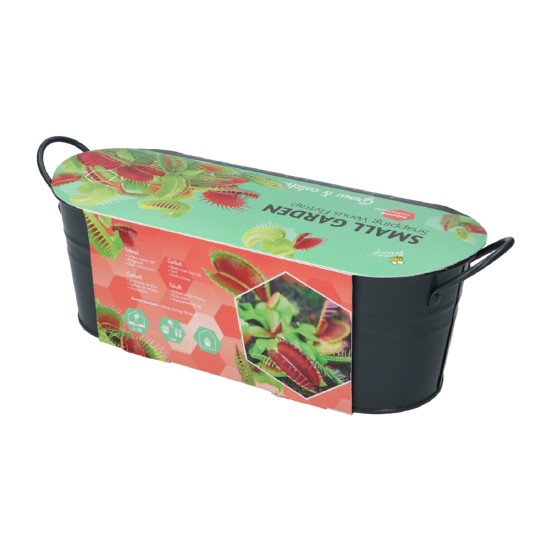 Buzzy® Small Garden Venus Fly Trap (6)