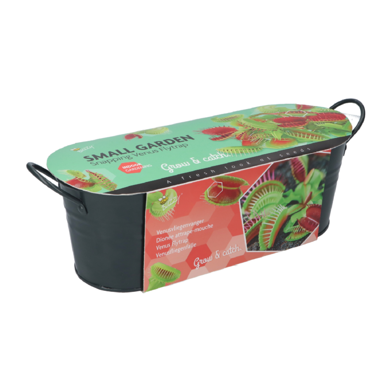 Buzzy® Small Garden Venus Fly Trap (6)