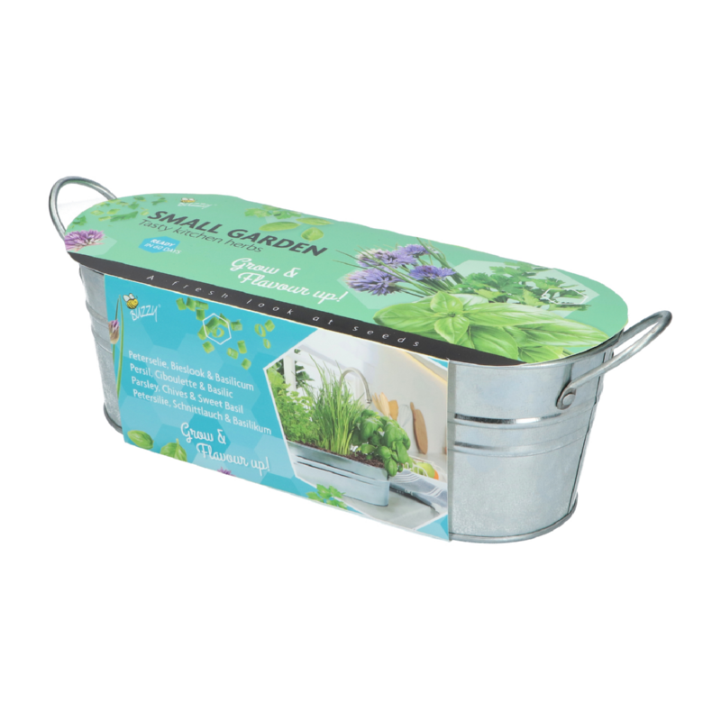Buzzy® Small Garden Tasty kitchen herbs (6)
