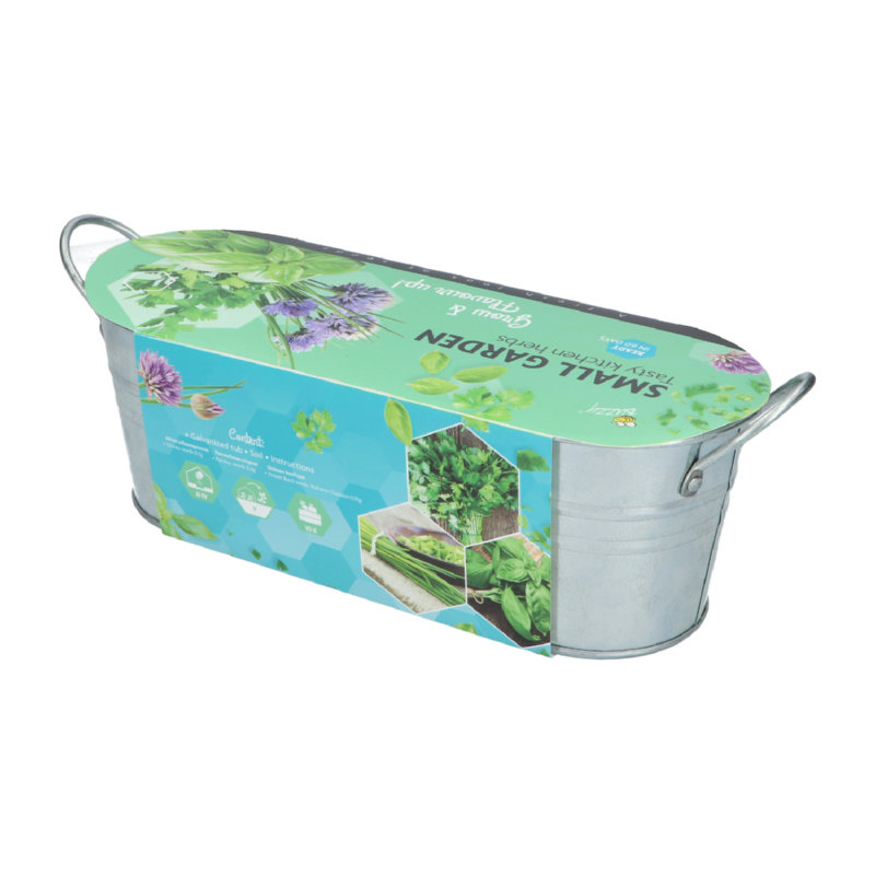 Buzzy® Small Garden Tasty kitchen herbs (6)