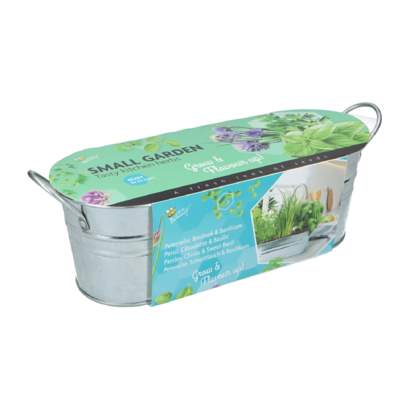 Buzzy® Small Garden Tasty kitchen herbs (6)