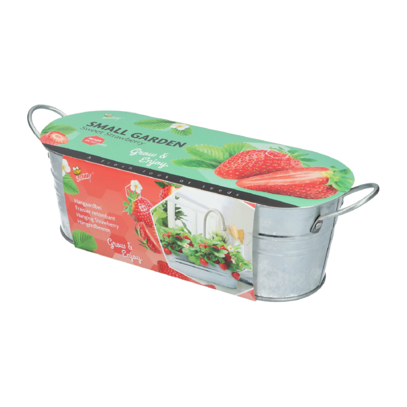 Buzzy® Small Garden Sweet Strawberry