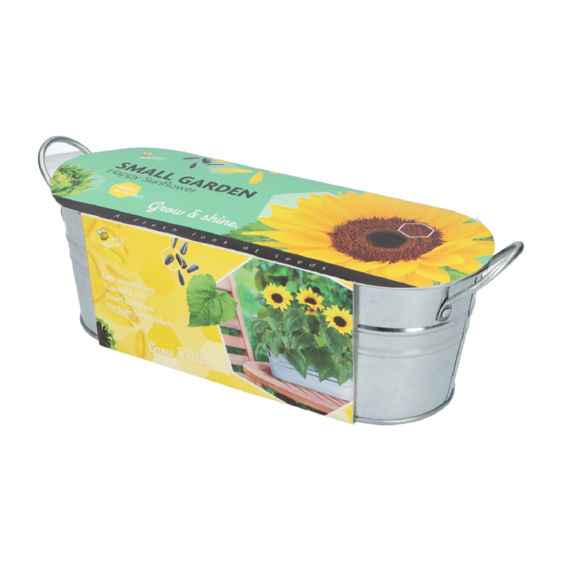 Buzzy® Small Garden Happy Sunflower (6)