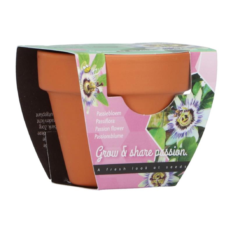 Buzzy® Grow Gifts Passiflora 30st. in display (30)